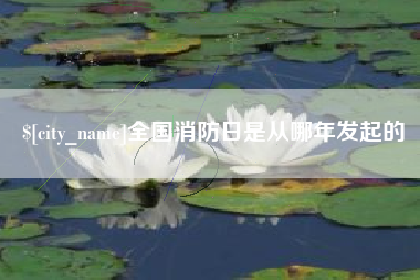 海南全国消防日是从哪年发起的