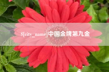 海南中国金牌第九金