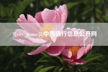 海南1.中国执行信息公开网