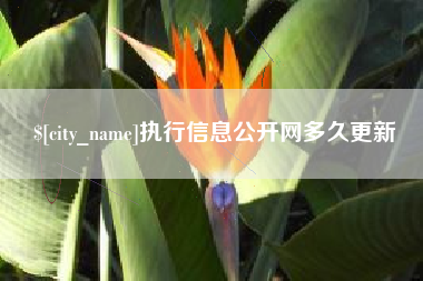 海南执行信息公开网多久更新
