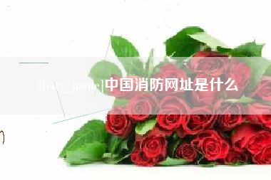 海南中国消防网址是什么