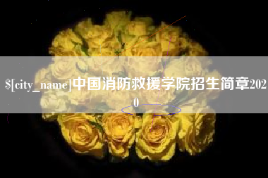 海南中国消防救援学院招生简章2020
