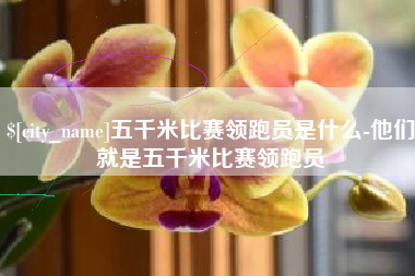 海南五千米比赛领跑员是什么-他们就是五千米比赛领跑员
