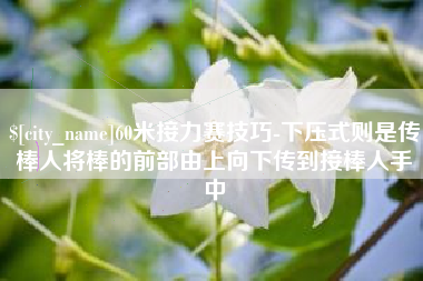 海南60米接力赛技巧-下压式则是传棒人将棒的前部由上向下传到接棒人手中