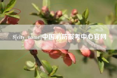 海南中国消防报考中心官网