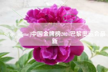 海南中国金牌榜2024巴黎奥运会最新