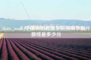 海南中国消防救援学院河南录取分数线是多少分