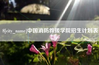 海南中国消防救援学院招生计划表