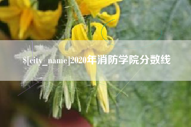 海南2020年消防学院分数线