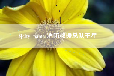 海南消防救援总队王星