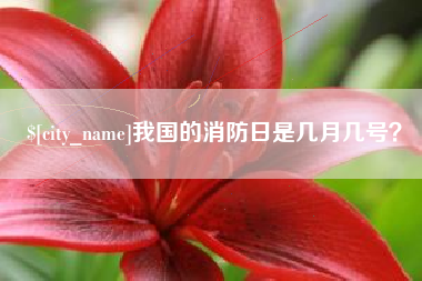 海南我国的消防日是几月几号？