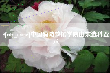海南中国消防救援学院山东选科要求