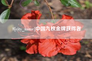 海南中国九枚金牌获得者