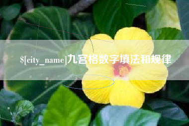 海南九宫格数字填法和规律
