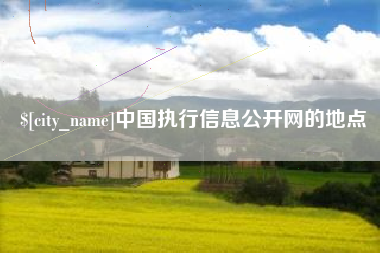 海南中国执行信息公开网的地点