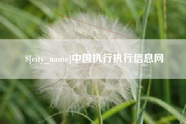 海南中国执行执行信息网
