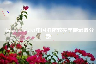 海南2021中国消防救援学院录取分数