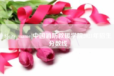 海南中国消防救援学院2021年招生分数线