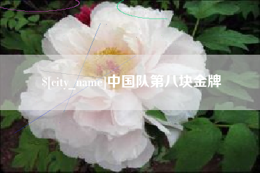 海南中国队第八块金牌