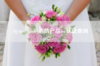 海南消防产品ccc认证查询