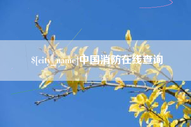 海南中国消防在线查询