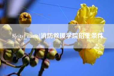 海南消防救援学院招生条件