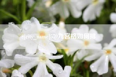 海南579九宫格如何排