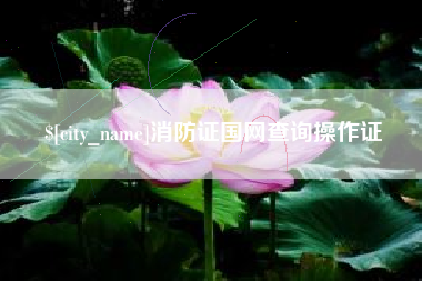 海南消防证国网查询操作证
