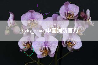 海南中国消防官方