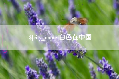 海南白色在中国