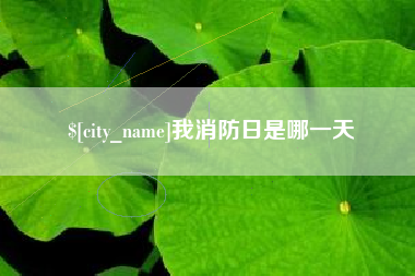 海南我消防日是哪一天