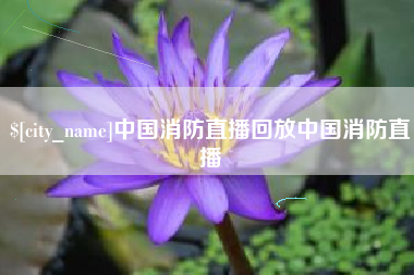 海南中国消防直播回放中国消防直播
