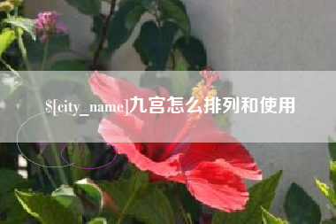 海南九宫怎么排列和使用
