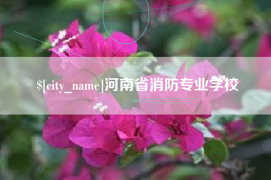海南河南省消防专业学校
