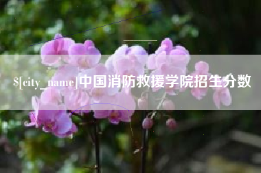 海南中国消防救援学院招生分数