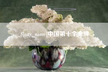 海南中国第十个金牌