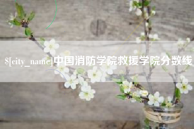 海南中国消防学院救援学院分数线