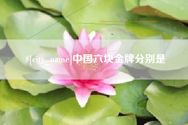 海南中国六块金牌分别是