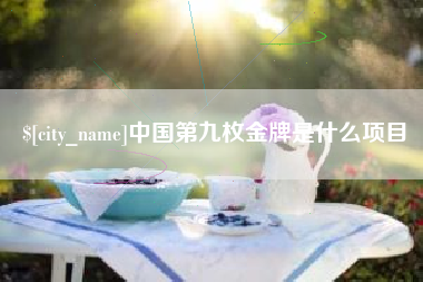 海南中国第九枚金牌是什么项目