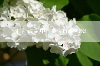 海南中国金牌有哪些2021