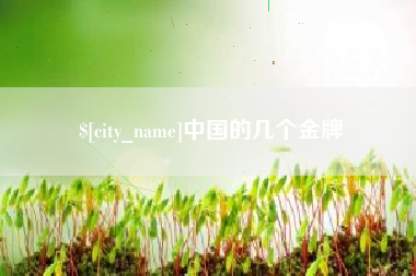 海南中国的几个金牌