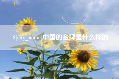 海南中国的金牌是什么样的