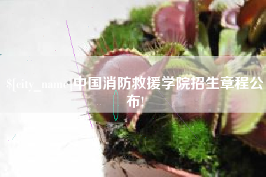海南中国消防救援学院招生章程公布!