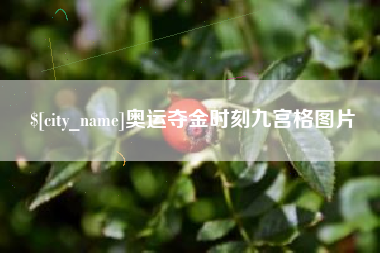 海南奥运夺金时刻九宫格图片