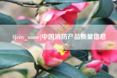 海南中国消防产品质量信息