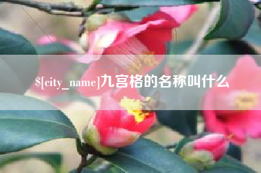 海南九宫格的名称叫什么