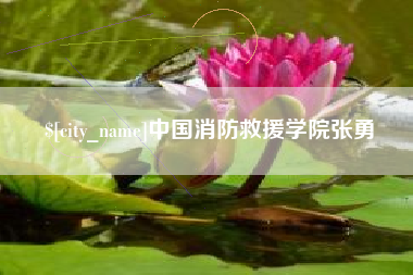 海南中国消防救援学院张勇