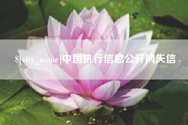 海南中国执行信息公开网失信