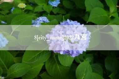 海南2022九宫