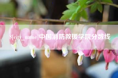 海南中国消防救援学院分数线